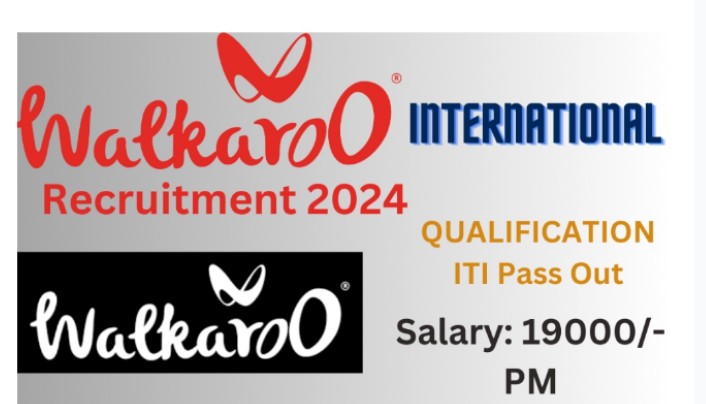 Walkaroo International Pvt Ltd Campus Placement